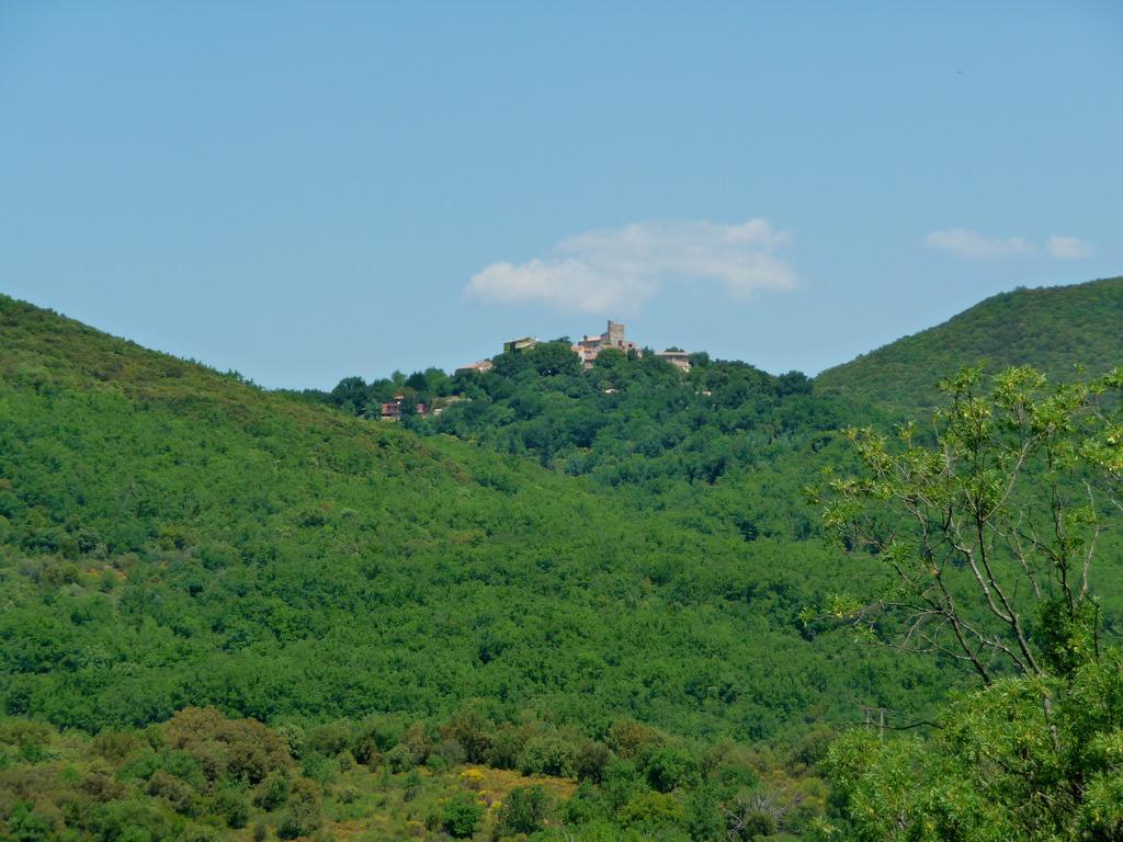 Chateau Olmet Lodève Kültér fotó